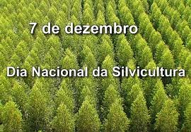O Dia Nacional da Silvicultura é comemorado em 7 de dezembro
