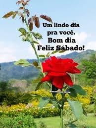 BOM DIA SÁBADO 06/11/25