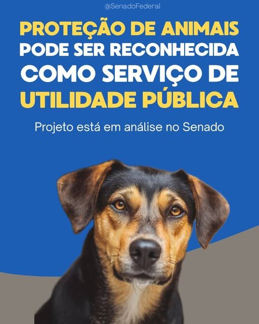 PROTEÇÃO DE ANIMAIS