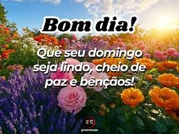 BOM DIA DOMINGO 15 DE FEVEREIRO DE 2026