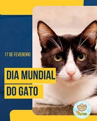 17 de fevereiro, o Dia Mundial do Gato