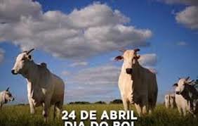 O dia 24 de abril é reconhecido como o Dia do Boi no Brasil.