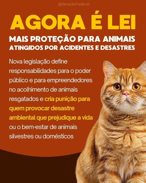 AGORA É LEI