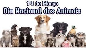 O Dia Nacional dos Animais, celebrado em 14 de março no Brasil