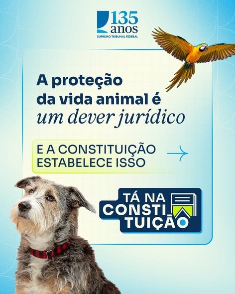 Proteger os animais é também proteger o meio ambiente e a própria sociedade.