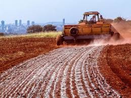 O Dia Nacional do Calcário Agrícola, celebrado em 24 de maio