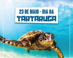 O Dia Mundial da Tartaruga é celebrado anualmente em 23 de maio