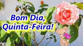 BOM DIA QUINTA FEIRA 11 DE JUNHO DE 2026