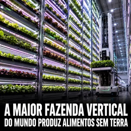 Produzir alimentos sem terra parecia impossível