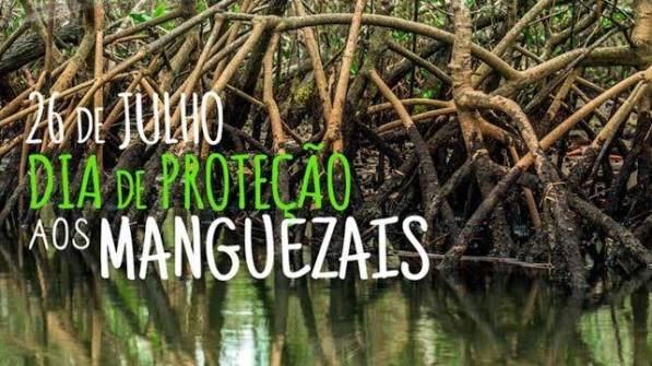 Hoje, 26 de julho é o dia Mundial de Proteção aos Manguezais