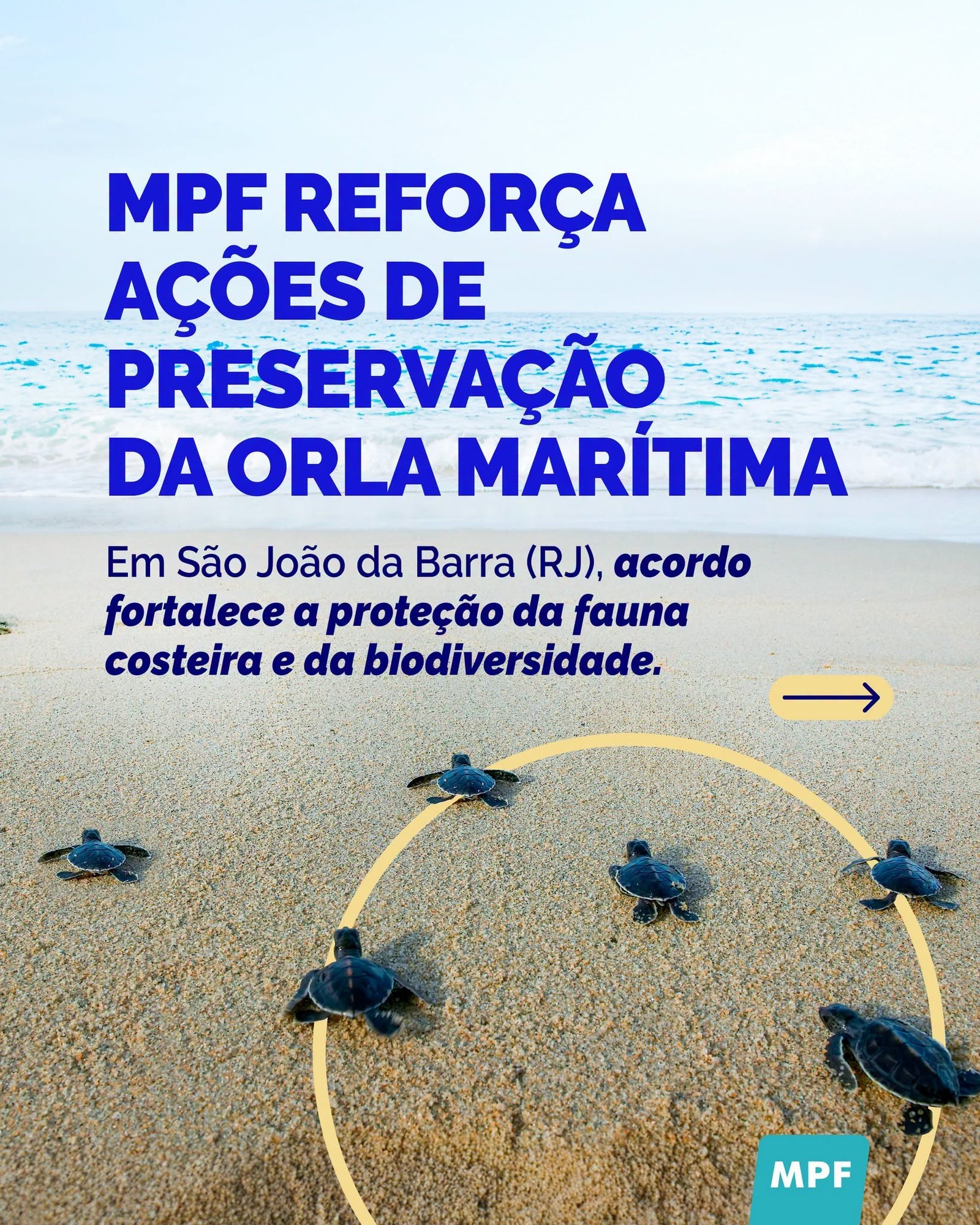 O MPF firmou acordo com o município de São João da Barra (RJ) para fortalecer a conservação da faixa costeira e da biodiversidade local, com atenção especial às tartarugas marinhas.