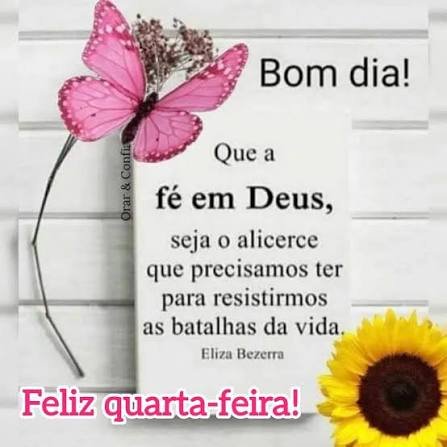 BOM DIA QUARTA FEIRA