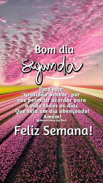 BOM DIA SEGUNDA FEIRA, ÓTIMO DIA E MARAVILHOSA SEMANA