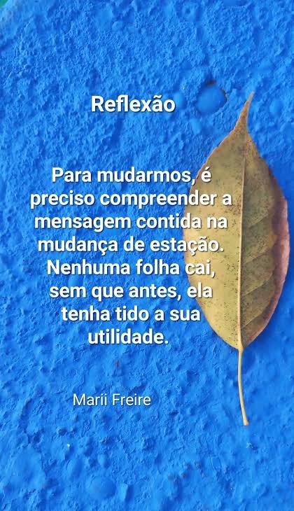 REFLEXÃO