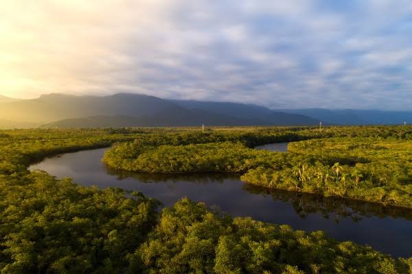 O dia 5 de setembro marca a Elevação do Amazonas à Categoria de Província