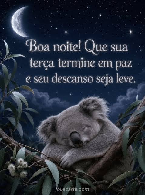 BOA NOITE TERÇA FEIRA