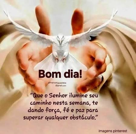 BOM DIA SEGUNDA FEIRA, ÓTIMA SEGUNDA E MARAVILHOSA SEMANA A TODOS