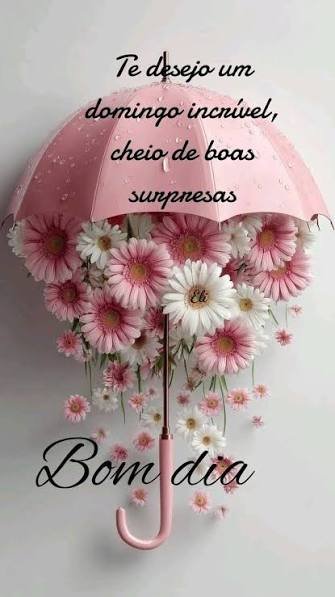 BOM DIA DOMINGO