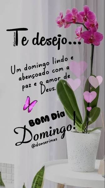 BOM DIA DOMINGO