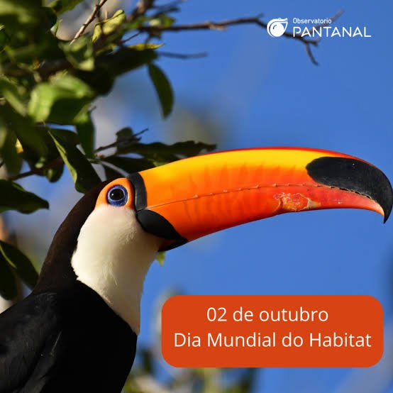 O Dia Mundial do Habitat é celebrado anualmente na primeira segunda-feira de outubro, sendo marcado em 5 de outubro de 2026